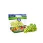 grape packaging bags