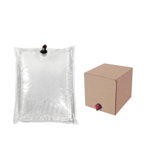 Aspetic Packaging Bag