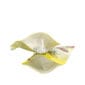 wellfa dishwashing liquid spout pouch 2