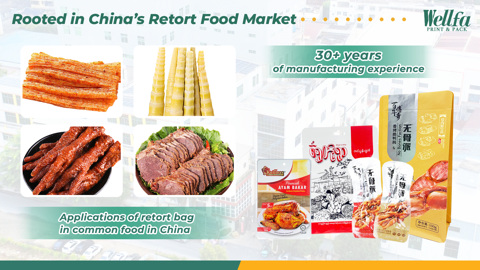 Chinas Leading Retort Pouch expert 2