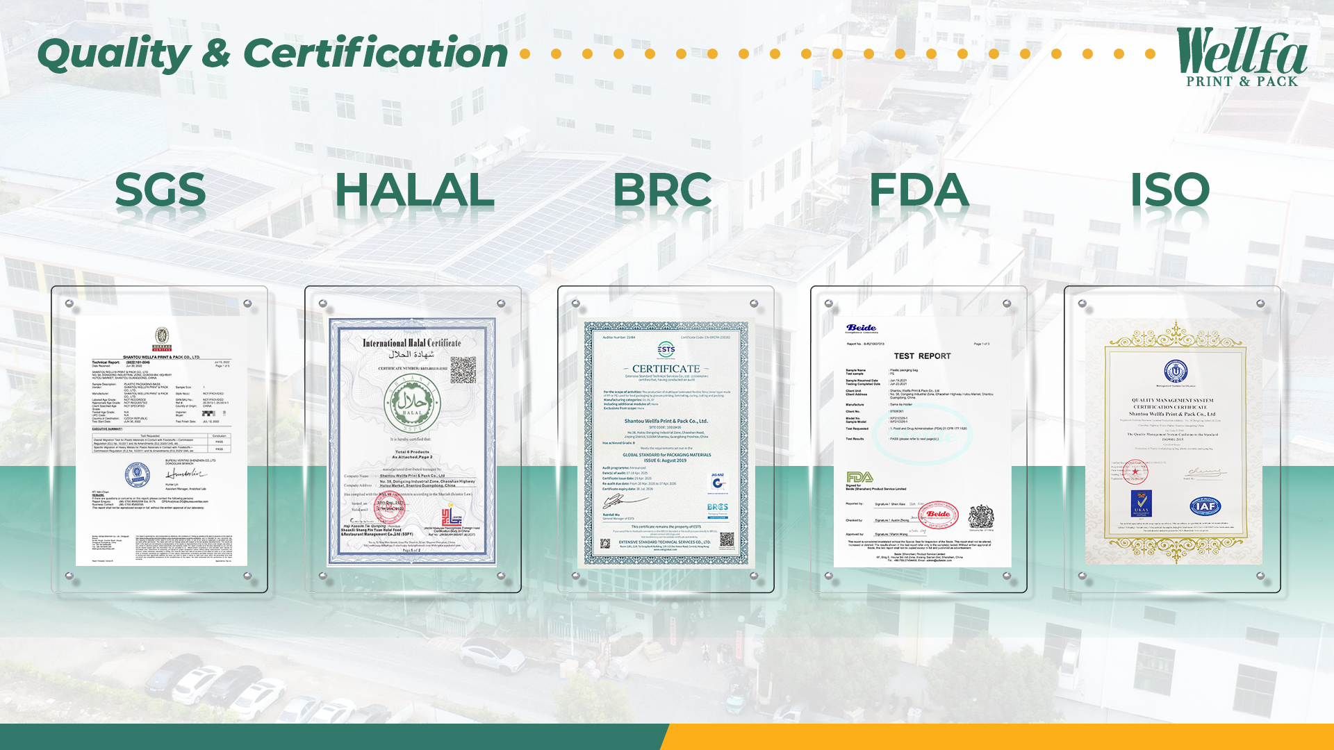 Why Wellfa is Chinas Top Doypack Production 4